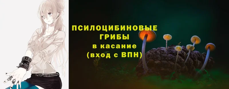 Галлюциногенные грибы MAGIC MUSHROOMS  Асино 